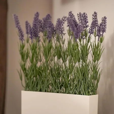 Apartamento Anagnina Urban Roma