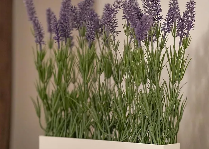 Apartmán Anagnina Urban Luminoso Con Balcone Metro A Řím